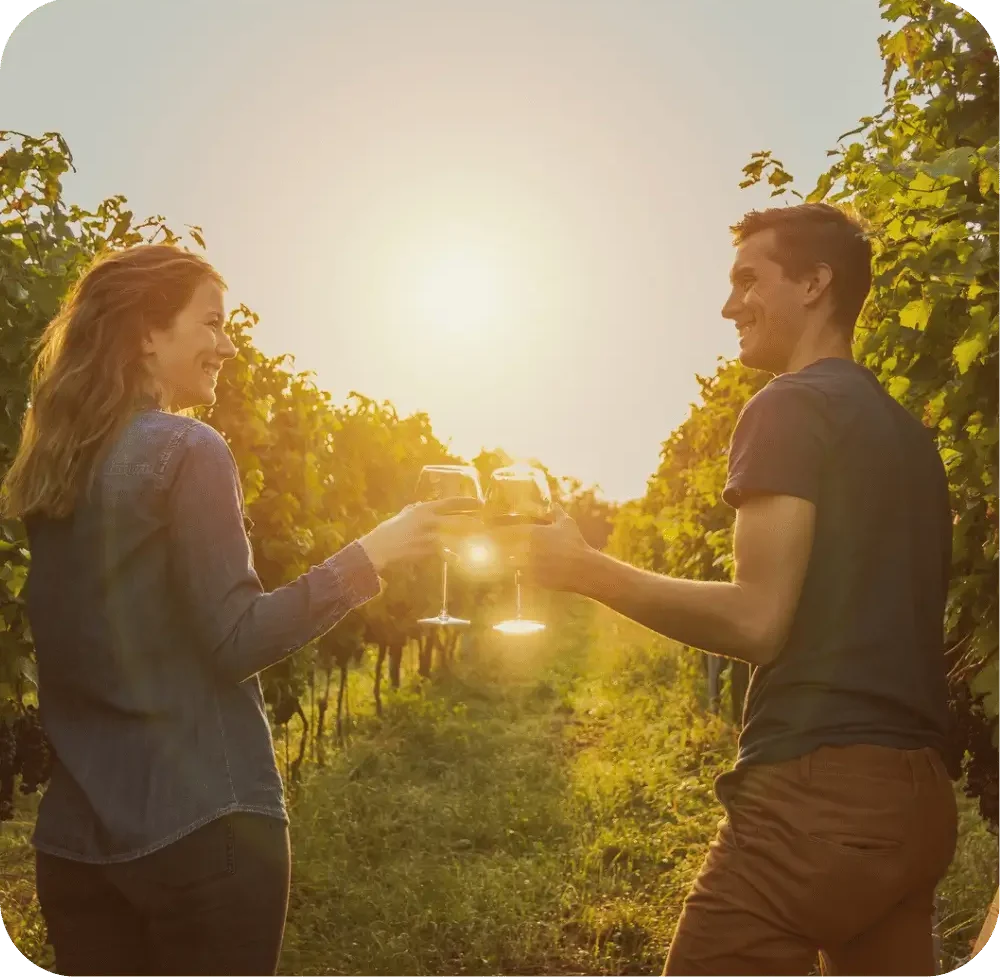 Vineyard Vibes 2025